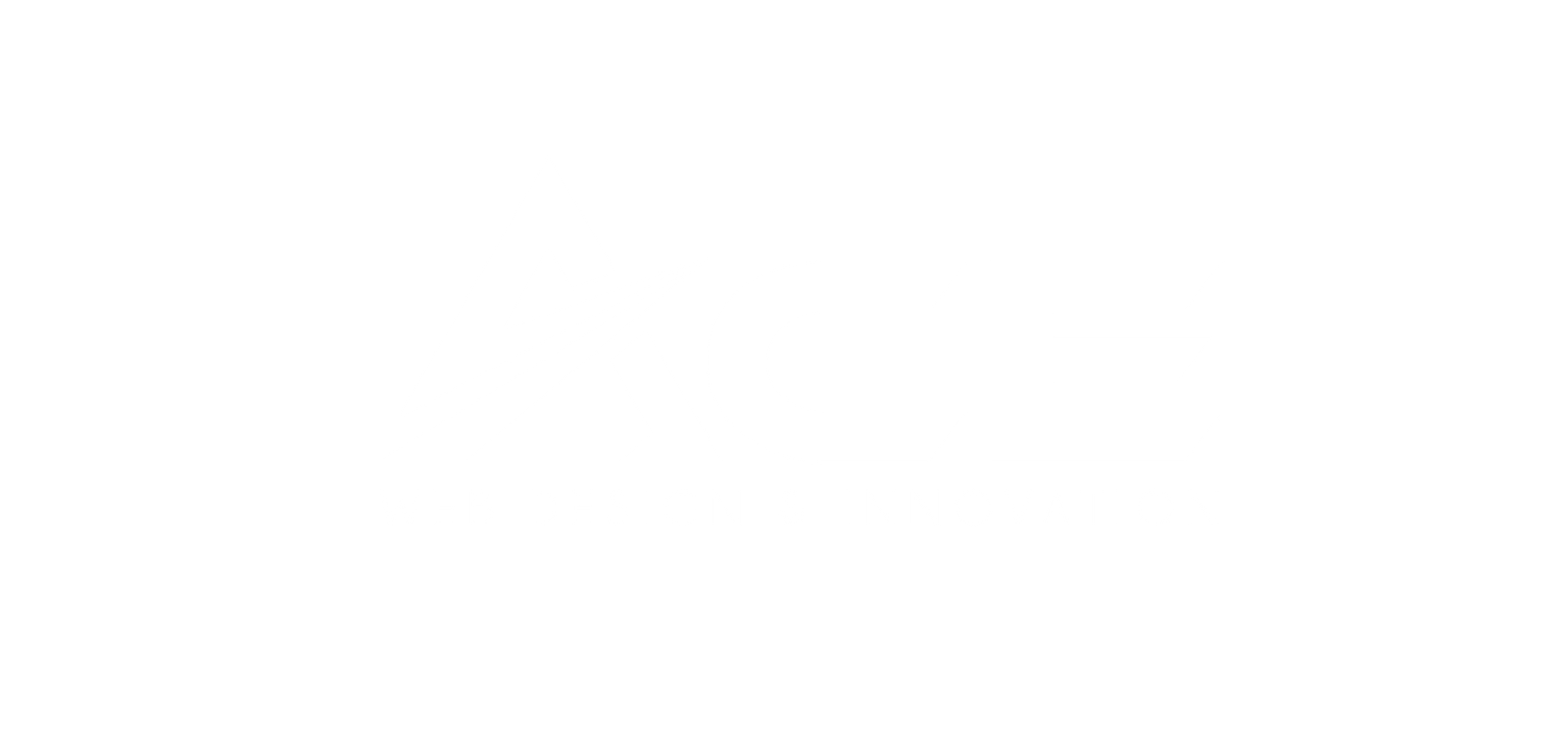 ACE Website Design